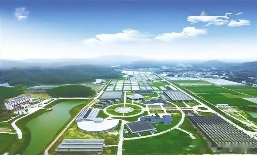 国家现代农业产业园发展的新思路与新举措_建设_园区_考核