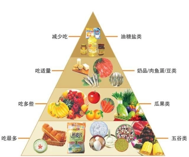 张堰幼儿园健康生活资源之食物金字塔