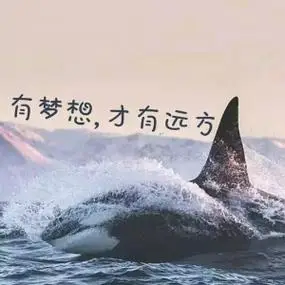 励志文字头像图片高清没有艰幸便无收获