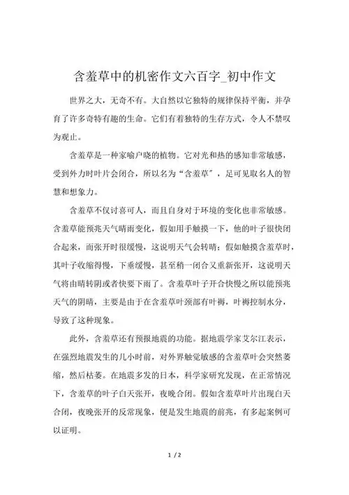 含羞草中的秘密作文600字初中作文