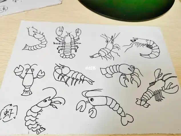 虾简笔画步骤上色