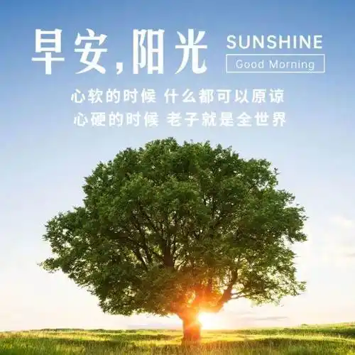 早安语句美好的一天励志早安语拥抱阳光图片早安心语正能量图片加句子