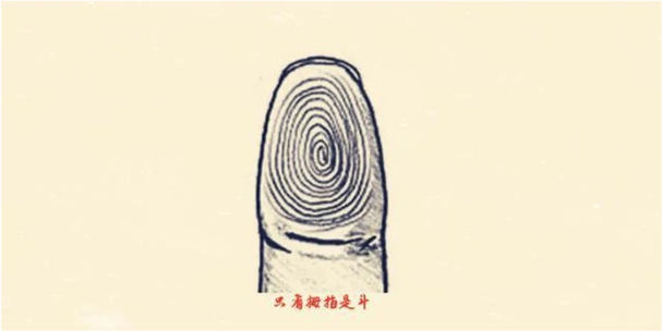 一,只有拇指是斗的人如果双手只有大拇指长有斗纹的话,这种人大多性格