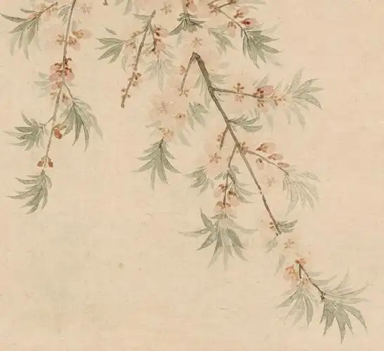 恽寿桃花图轴精装立轴竖版中华珍宝馆文创精品国画