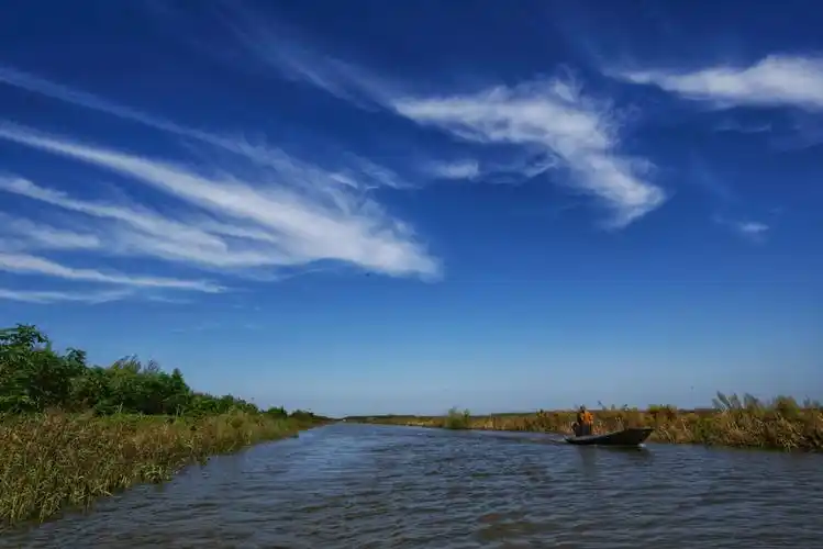 建三江七星河湿地风光