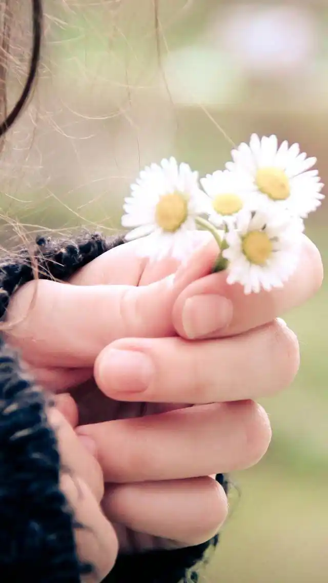 纤纤玉手指尖上的唯美静物iphone5s手机壁纸