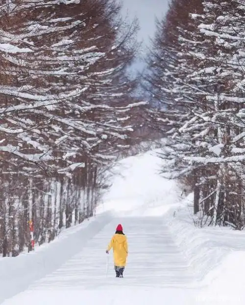 它一年里的100天,都有大雪纷飞, 一定要在下雪时走在街头, 感受雪花