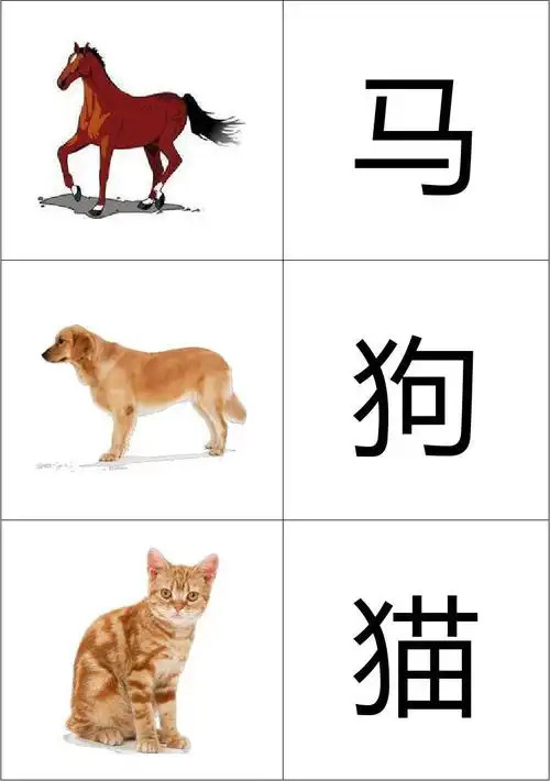 动物卡片(幼儿识图)