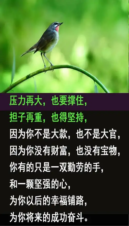 一切靠自己,不求人,才是正道(入心)