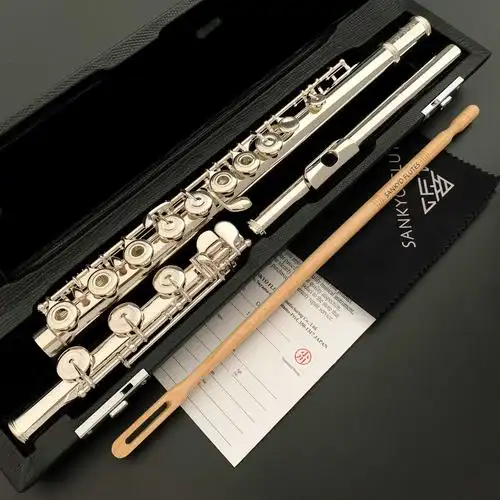 村松长笛 ds/sr/ptp