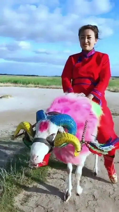 草原姑娘骑羊走天涯