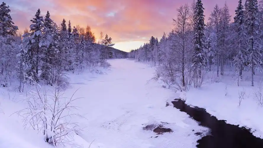 森林雪景唯美图片,风景图片-回车桌面