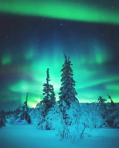 北极的极光,好久没见了吧