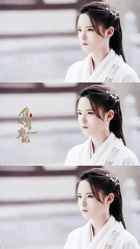 (孙安可)杨不悔.