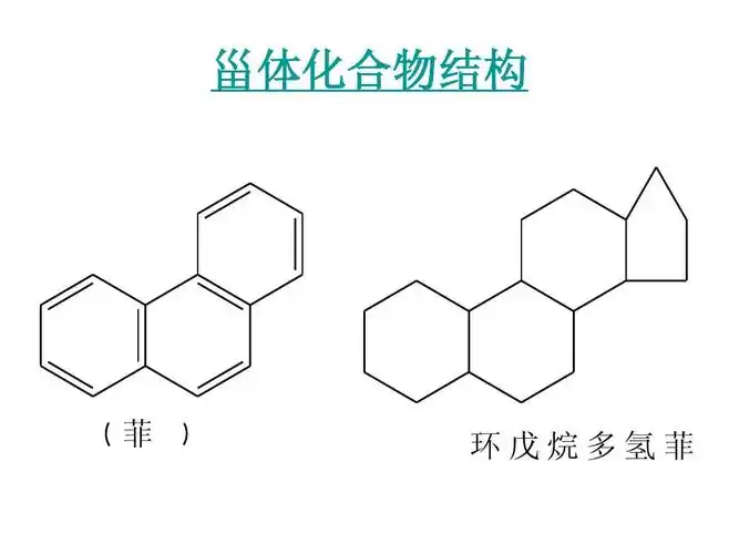 生物转化常见反应类型 甾体化合物结构 菲 环戊烷多氢菲