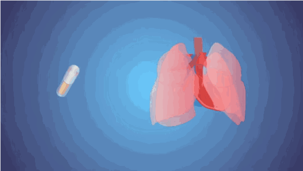 598_338gif 动态图 动图