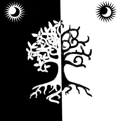 原创作品纯艺术绘画对比黑白正负形平面构成25岁色moclo24岁色moclo