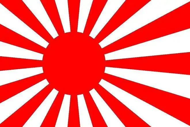 旭日旗就是二战日军军旗?太阳旗就不是?你可能真不了解|军舰_网易订阅