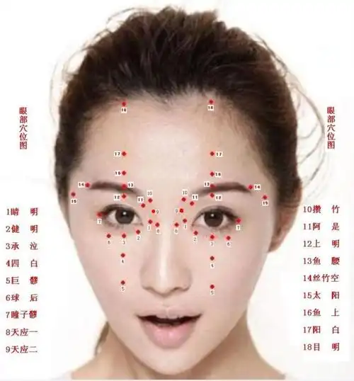 标准眼部穴位分布图及功能
