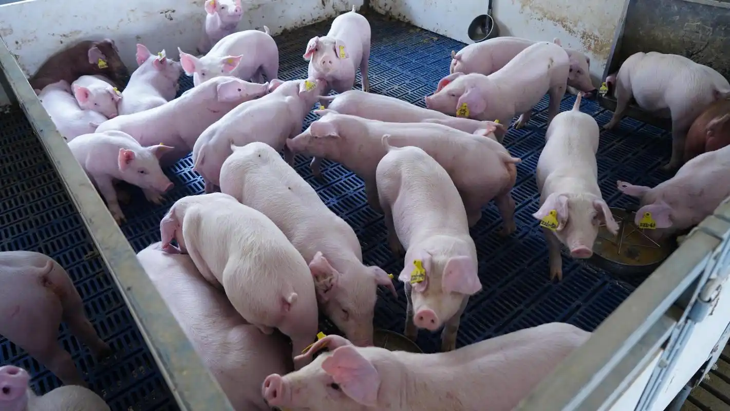 老铁们赶快收藏起来