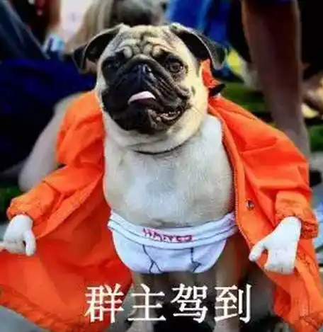 【意向征集】群主招募令| 寻找你"身边的"邻居,还有福利相送! - 意粉