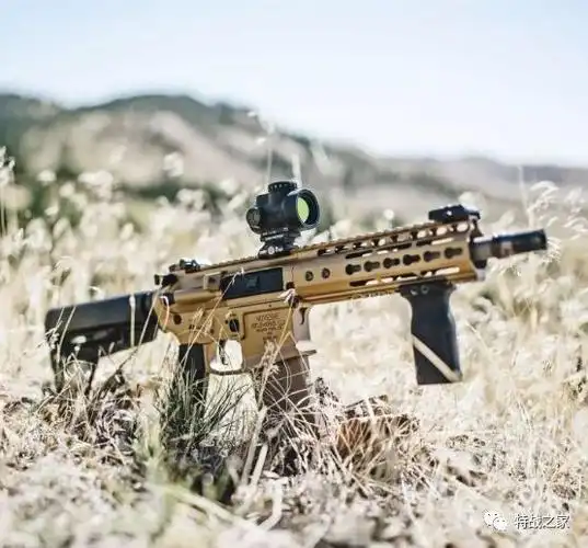 怎样自己组装一把ar15突击步枪