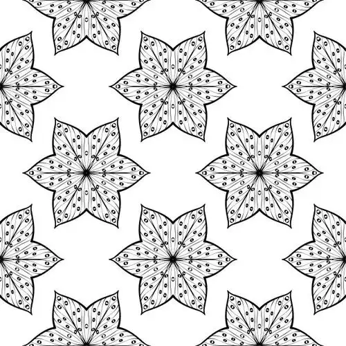 四方连续纹样,黑色,白色背景,巴基斯坦,绘画插图正版矢量图素材下载