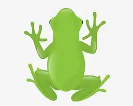 卡通青蛙背影