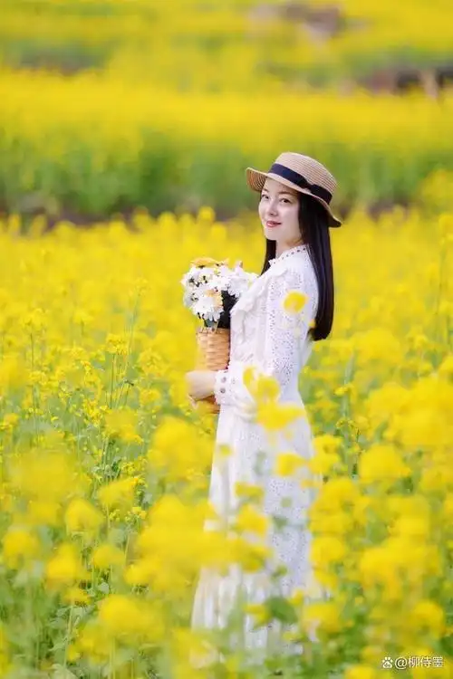 中年女性怎么拍油菜花人像5个摄影要点拍照自然优雅显年轻