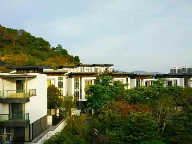 依山而建的别墅,绿油油的树木,清新的空气令人心旷神怡