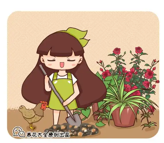 鸡蛋壳直接扣土里,三天长满小黑飞,到底为啥?