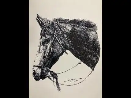 乐艺画室学生钢笔素描练习