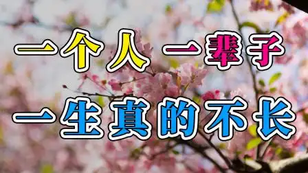 一个人一辈子 一生真的不长