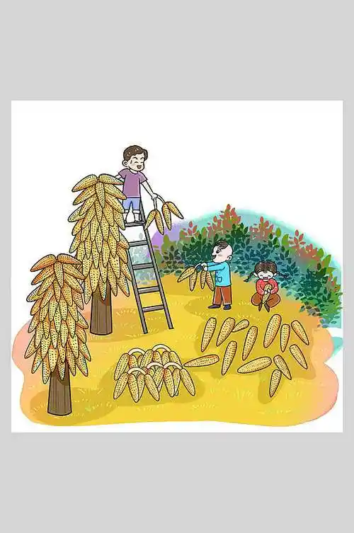 大玉米树叶农民丰收节插画