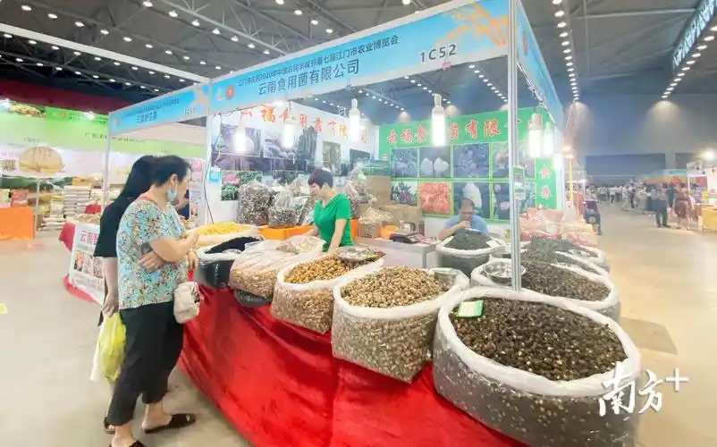 各式菌类干货展销摊位.