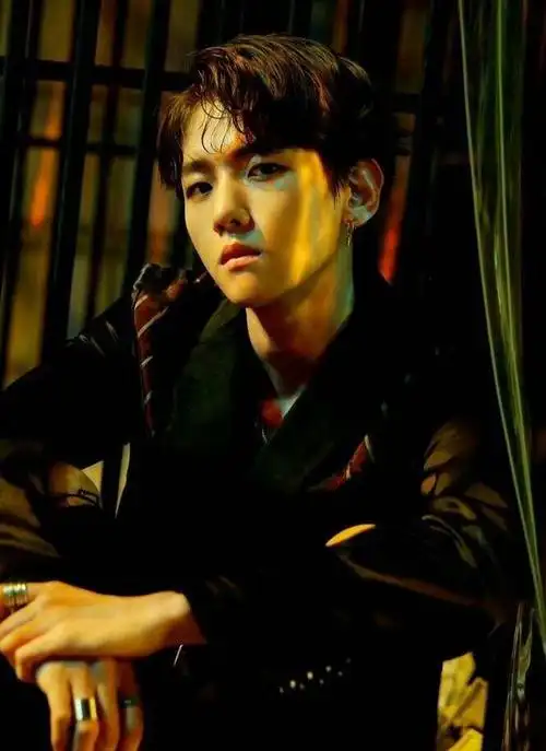 exo三辑后续《lotto》专辑内页