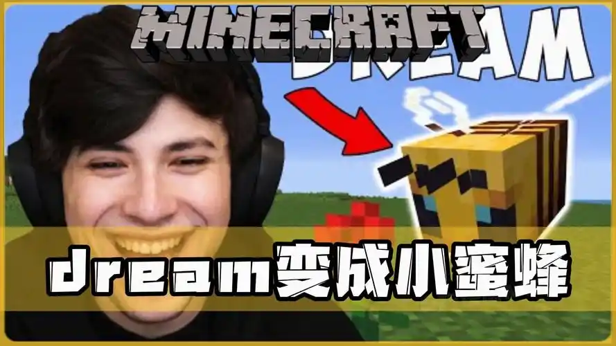 我的世界:dream变成小蜜蜂!