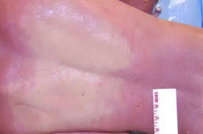 没有人比我更懂尸体