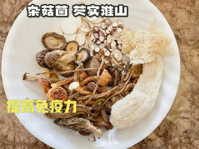 满血复活的杂菇牛骨汤