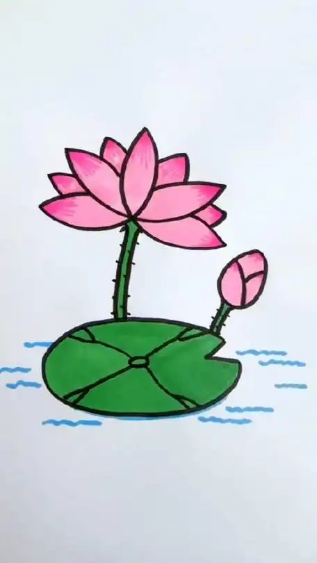 教你这样画荷花,简单又好看
