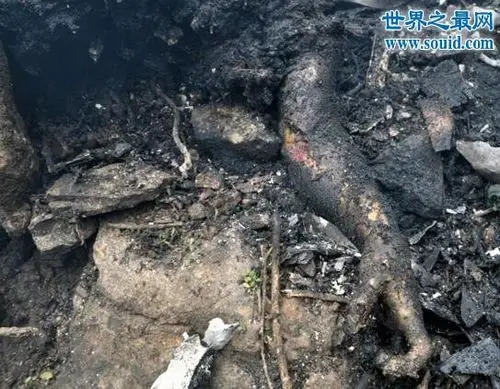 97年南航空难录音,97南航5.8空难真相大曝光