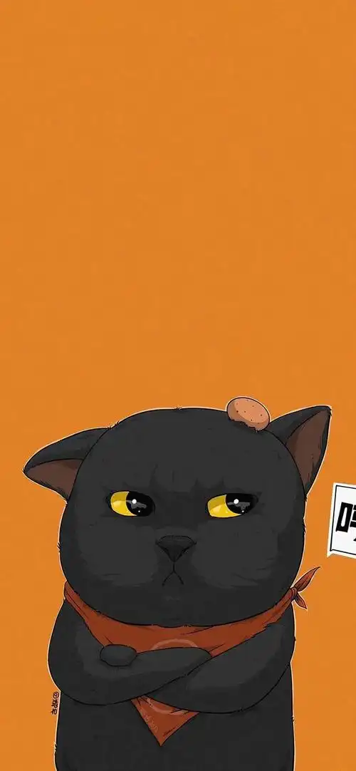 搞怪猫咪壁纸来咯