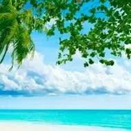 唯美梦幻风景头像,可爱头像图片