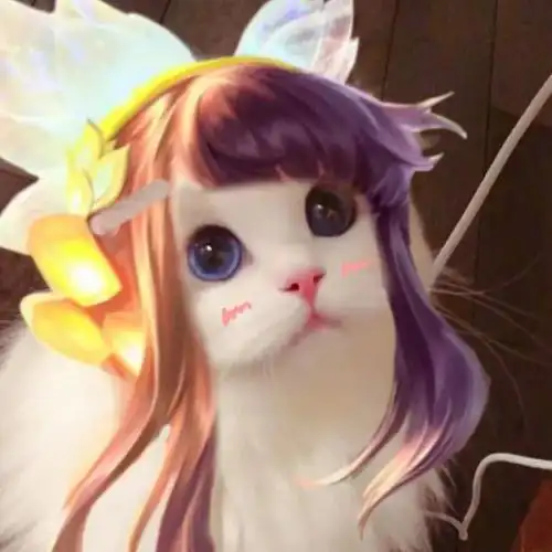 王者荣耀接头小猫咪头像娜可露露晚萤