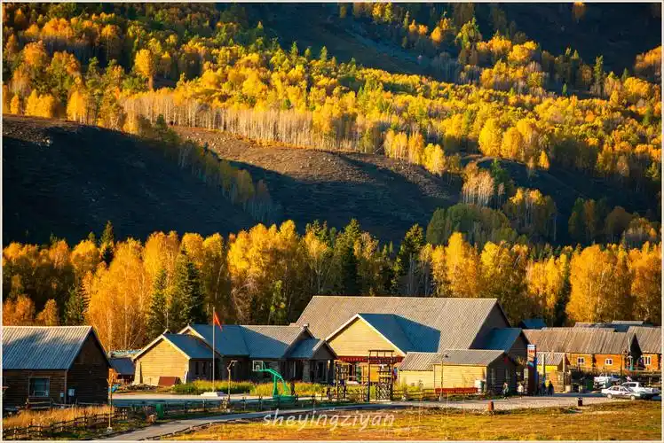 2019新疆禾木村(一)