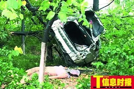 冲到丛林中的小车几乎成了一堆废铁,女司机的尸体被放在一旁.