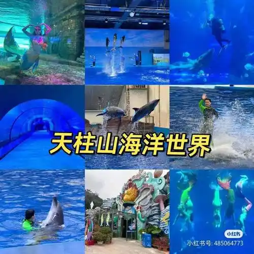 【2月18日初九发团】特价￥98元起,长泰天柱山海洋馆欢乐大世界 天柱