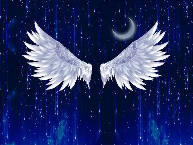 抖音男女女主播直播背景3d立体装饰大气简约背景布类