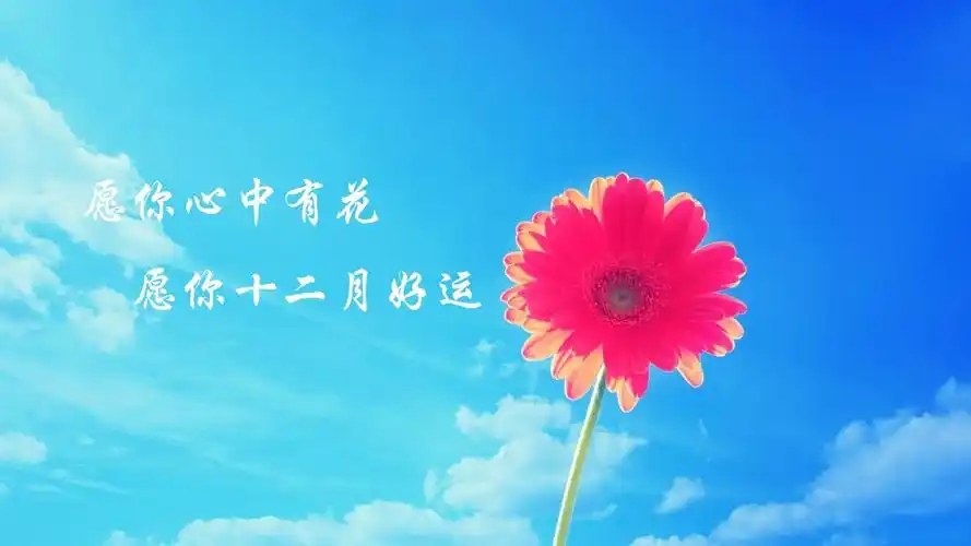 十二月好运的文字图片高清原图查看