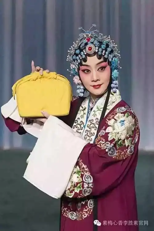 《杨门女将》·饰穆桂英京剧《凤还巢》·饰程雪娥贵妃醉酒李胜素转自